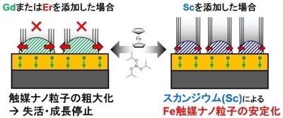 本研究結果の概要図