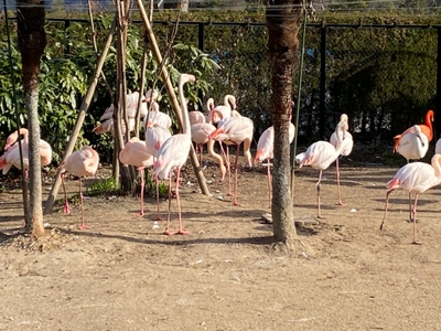 FMQPbxKapXK7b5nRrVOx.jpg?w=940&h=940