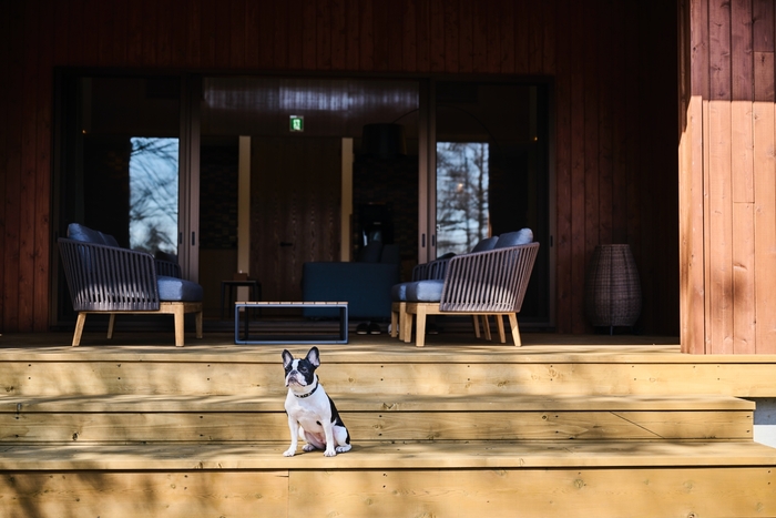 テラスから直接ドッグランへ(ドッグヴィラスイート)