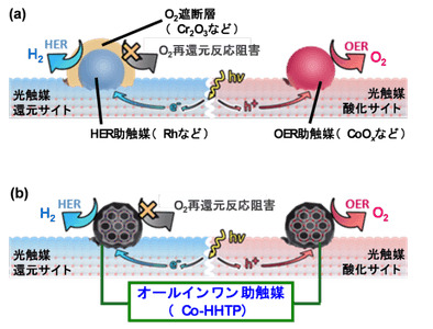 図2.（a）既存の助触媒を用いたOWS光触媒システムと、（b）本研究で追究したオールインワン助触媒を用いたOWS光触媒システム。
