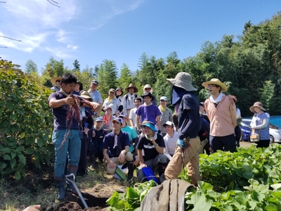 FOKQK8I67pIDHhQUBIPt.jpg?w=940&h=940