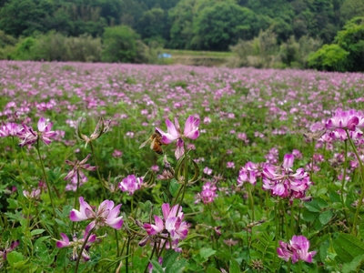 FP1Khcq8tePs4ftKcIe5.jpg?w=940&h=940