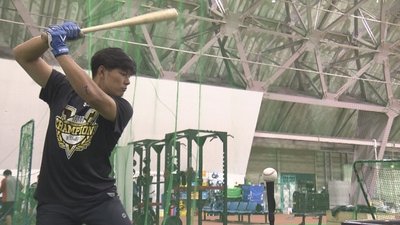 FQ2PfyursMhZPHHhe50K.jpg?w=940&h=940