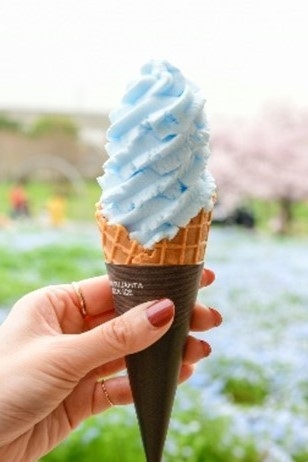 ネモフィラソフト(イメージ)