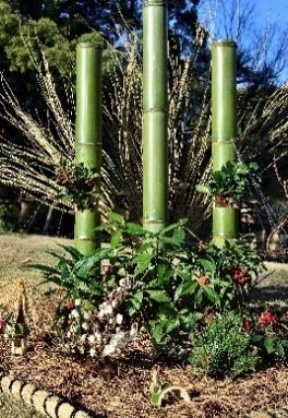 場所:大正記念館前(9時~17時)