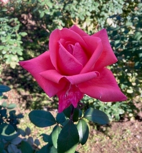 FRAKUVxk3Th62SPn6mtO.jpg?w=940&h=940