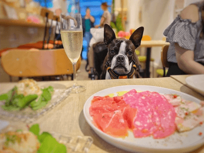 FRFzzaSZEN1b9CRRfBwQ.png?w=940&h=940