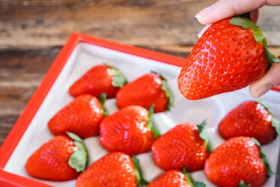 FSFTT8e06NxRnVrsRXQw.jpg?w=940&h=940