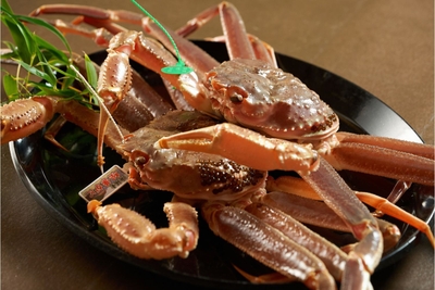 FU6DlItjgDD6zWSCkLAt.jpg?w=940&h=940