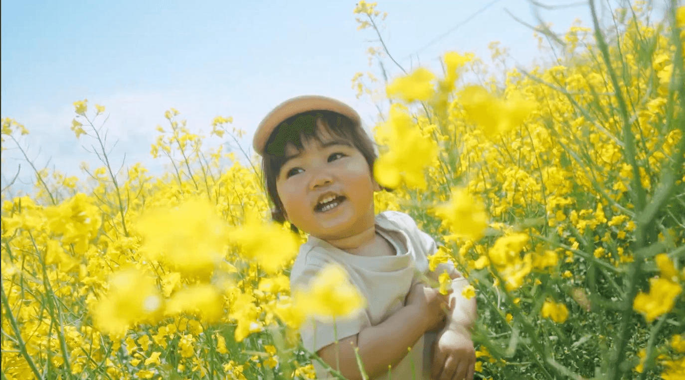 誰もが写真を撮りたくなるような素晴らしさはSNSでの効果も高い。