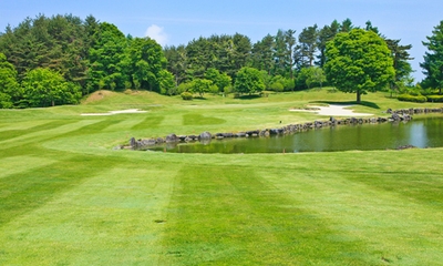 FUZTi1gyjtX1T4OrXL5l.jpg?w=940&h=940