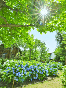 FUahQbE5de8tZIJCjGu2.png?w=940&h=940