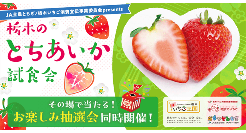 栃木県産いちご“とちあいか”が試食できる！あしかがフラワーパーク、東武ワールドスクウェア、那須どうぶつ王国で試食イベント開催