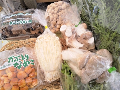 FVtdlsxbBh3yn5wadZWG.jpg?w=940&h=940