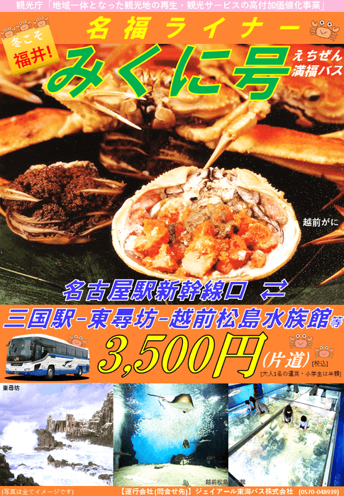 パンフレット(表)