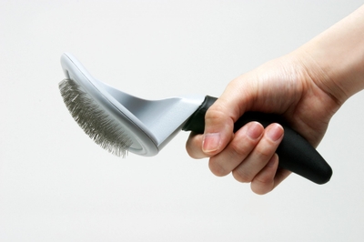 FXCv0U1H3mmcgNgI0iPH.jpeg?w=940&h=940