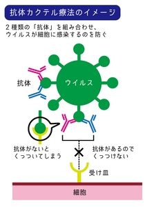 FXRorvyw48hesPTM5XDf.jpg?w=940&h=940