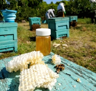 FYe27SG0oLoGfPOqo5CT.JPG?w=940&h=940