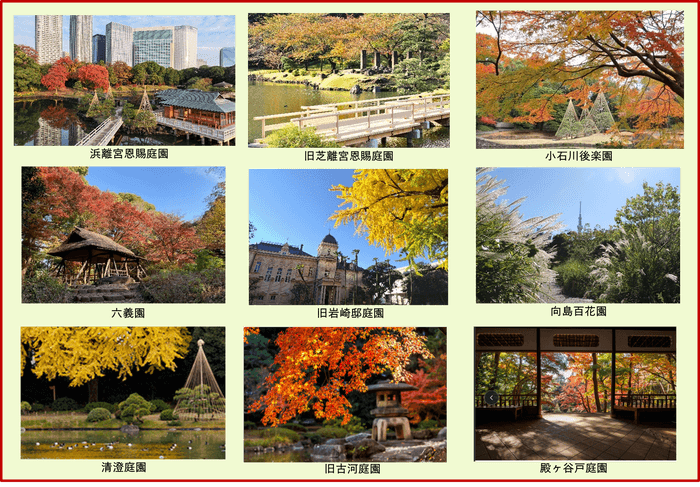 浜離宮恩賜庭園写真撮影:DRONE/47®︎