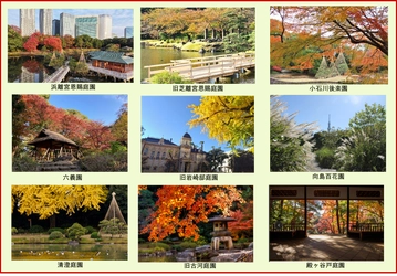 ＜10/10（金）～12/9（火）開催>第18回 都立庭園 紅葉めぐりスタンプラリー