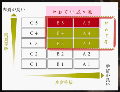 Fa4kwpERZu3JAMH5t9rh.png?w=940&h=940
