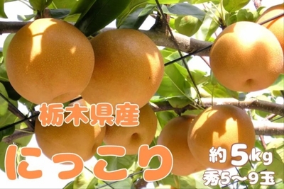 Fa5QNfHgByC9LuyQymm6.jpeg?w=940&h=940
