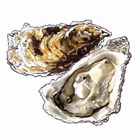 FavXOh1OPXGTlPgyJPp4.jpeg?w=940&h=940