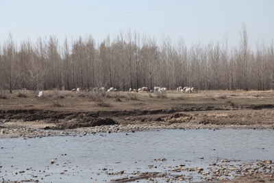 Fb6unCZCGFRiF9kaBAIf.jpg?w=940&h=940