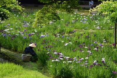 FcJAfgsmHxLEyhgFTeOD.jpeg?w=940&h=940