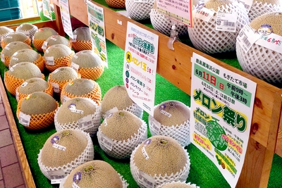 FcNrZHdnMBi6y5Gw0Psv.jpg?w=940&h=940