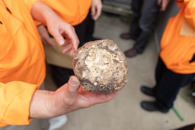 幻の在来種「和玉」を手塩にかけて育てる