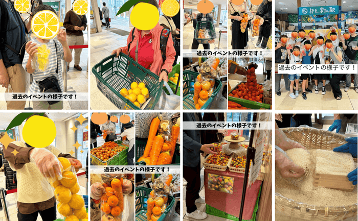 過去のイベントの様子
