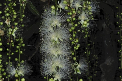 FeNakxzUKPSXwneB3n3t.jpg?w=940&h=940