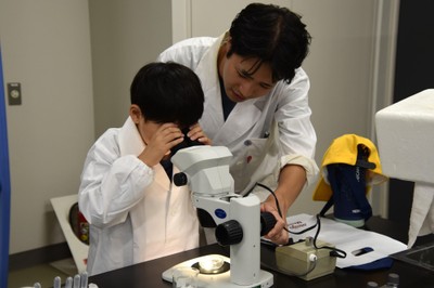 農学部の企画で顕微鏡をのぞく