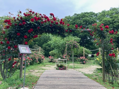 Fff0Sj1AA8FkY9y82gDD.jpg?w=940&h=940