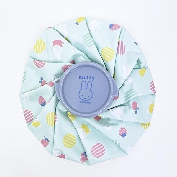 ミッフィーのアイスバッグ