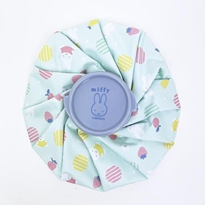 ミッフィーのアイスバッグ