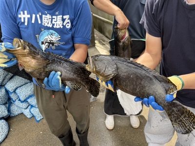 岡山理科大学・生物生産教育研究センターで水揚げされた「おかやま理大タマカイ」