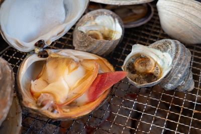 FiPUvhMbywhaLndTVuSK.jpg?w=940&h=940