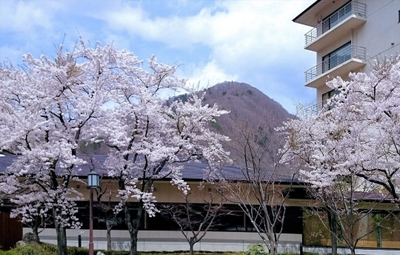 FkvCYyUg3BrpYzKeTfza.jpg?w=940&h=940