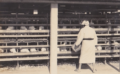 FlUM0p3o1rOZl2Mk9Ylg.jpg?w=940&h=940