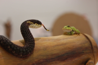 FlhffMLuQE3AFWiSYDgj.jpeg?w=940&h=940