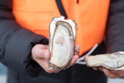 Flzv6W5LbkwgYWAnTMMZ.jpg?w=940&h=940