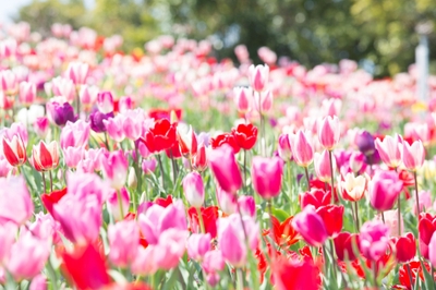 FoTIjStlwKdjH5FwFmDQ.jpg?w=940&h=940