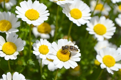 Fs4ofktdS9dvWjcsiDrn.jpg?w=940&h=940