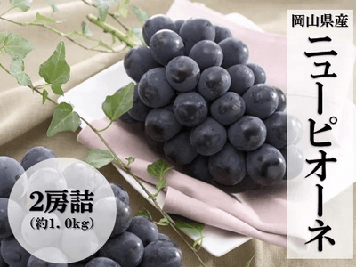 Fs56INCu0xccb8VRGxyn.png?w=940&h=940