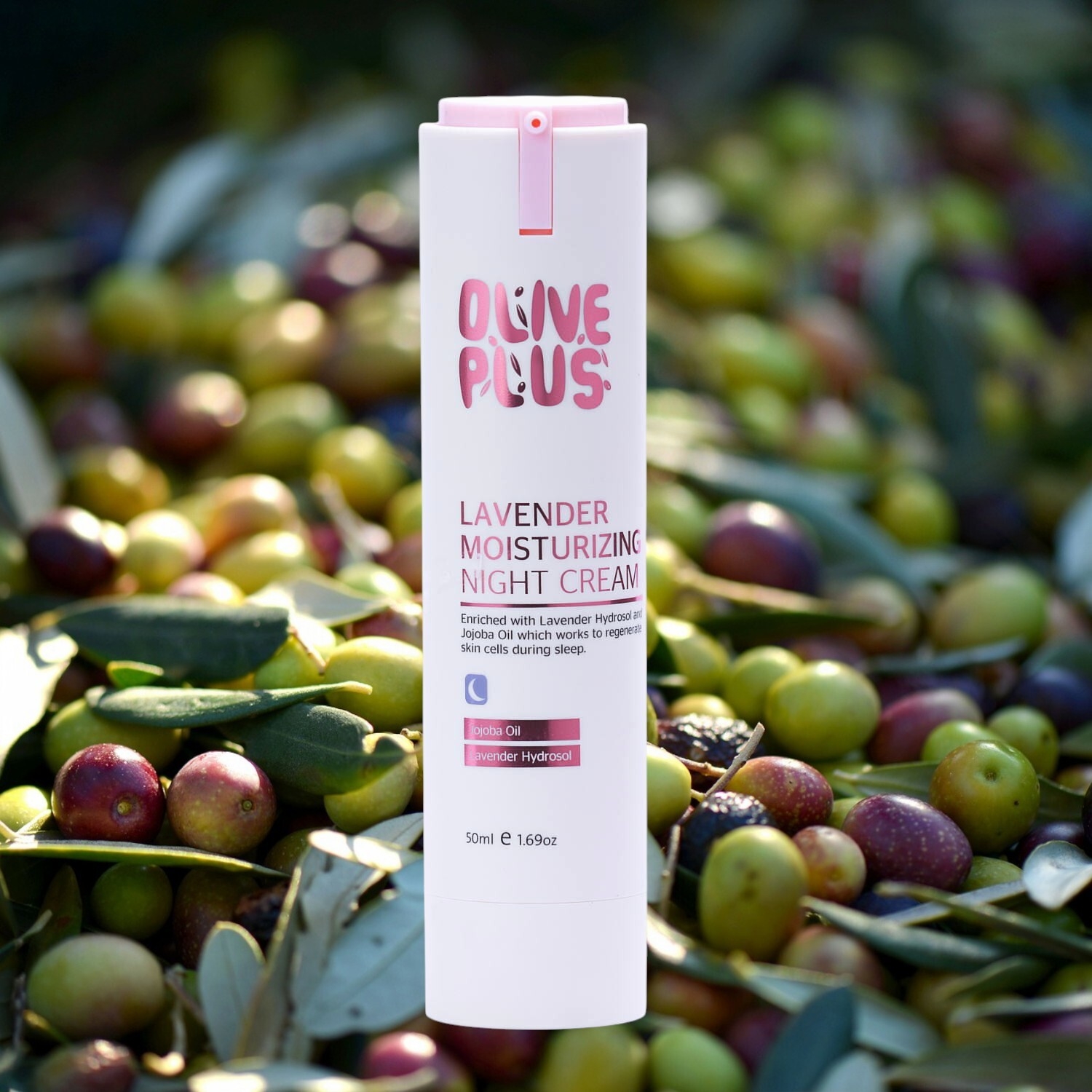 ナイトクリーム「オリーブプラス」パレスチナ製