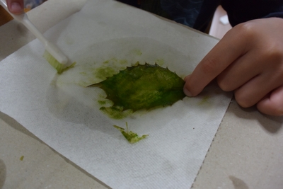 FsKHyo4qhfLRXfAT0NxM.jpg?w=940&h=940