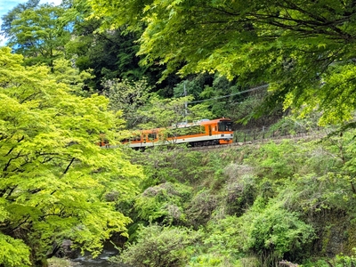 Ft5kr7EPqm6nJzjiSW7E.jpg?w=940&h=940