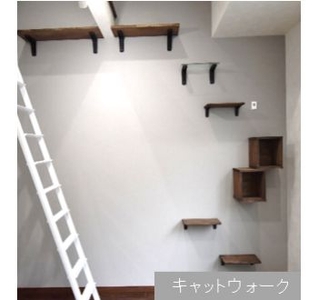 キャットウォーク